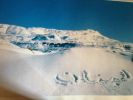 Filename=cedars.JPG
Filesize=743KiB
Dimensions=1632x1224
Date added=Jul 12, 2013 cedars.JPG